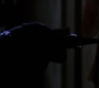 TheDarkKnight1494.jpg