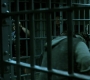 TheDarkKnight2267.jpg