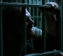 TheDarkKnight2270.jpg