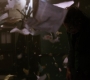 TheDarkKnight2549.jpg