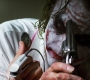 TheDarkKnight2936.jpg
