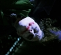 TheDarkKnight3511.jpg