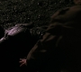 Filename=TheDarkKnight3697.jpg
Filesize=141KiB
Dimensions=1920x800
Date added=Oct 13, 2021 TheDarkKnight3697.jpg