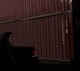 TheDarkKnight3769.jpg