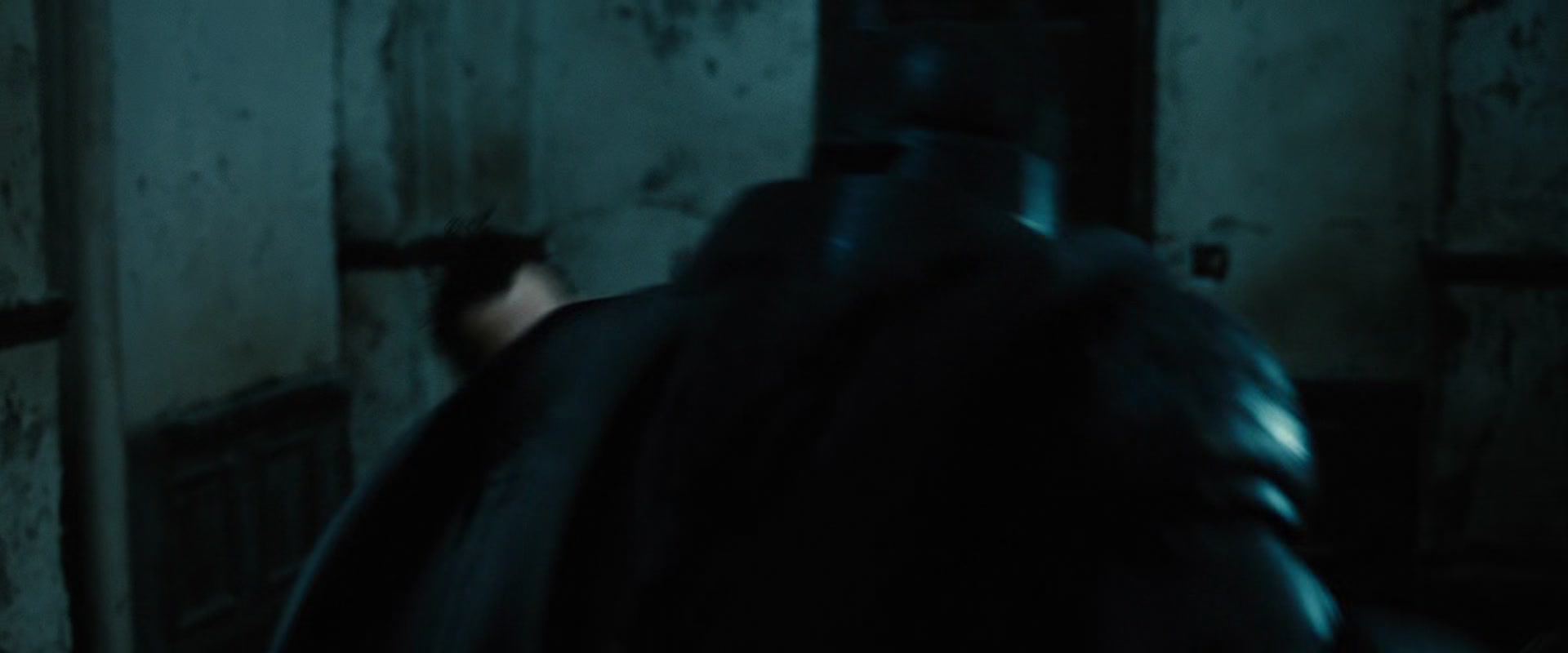 BvS_2083.jpg