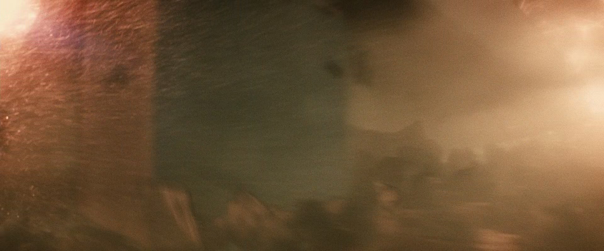BvS_2509.jpg
