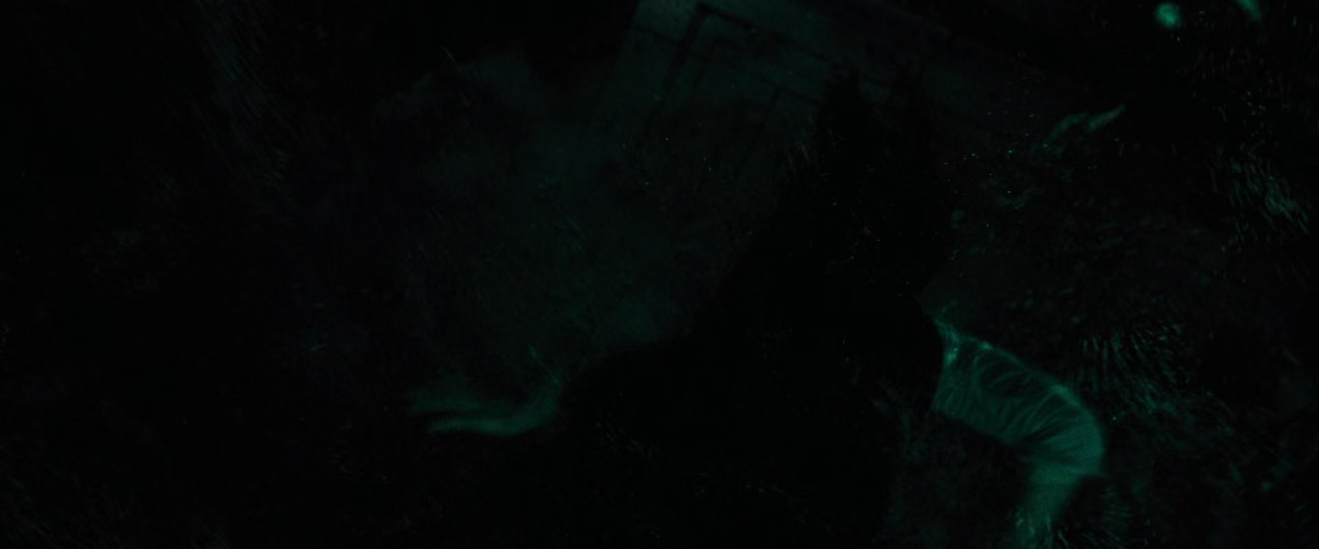 BvS_2513.jpg