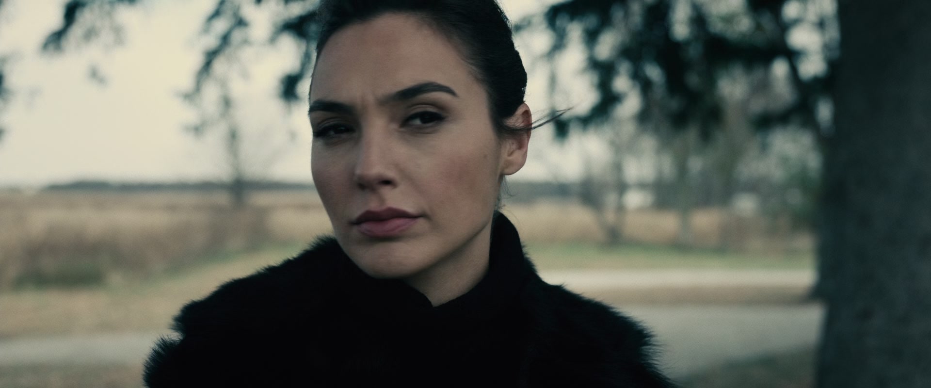 BvS_2785.jpg