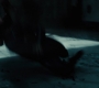 BvS_2081.jpg