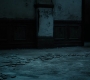 BvS_2089.jpg