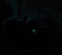 BvS_2126.jpg