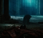 BvS_2134.jpg