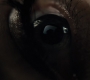 BvS_2177.jpg