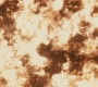 BvS_2425.jpg
