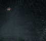 BvS_2463.jpg