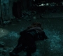 BvS_2493.jpg