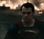 BvS_2498.jpg