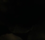 BvS_2512.jpg