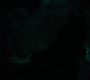 BvS_2513.jpg