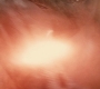 BvS_2524.jpg