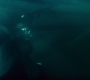 BvS_2533.jpg
