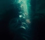 BvS_2537.jpg