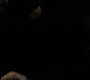 BvS_2626.jpg