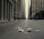 BvS_2678.jpg