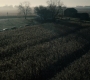 BvS_2687.jpg