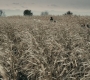 BvS_2728.jpg