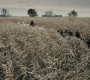 BvS_2729.jpg