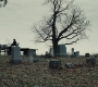 BvS_2766.jpg