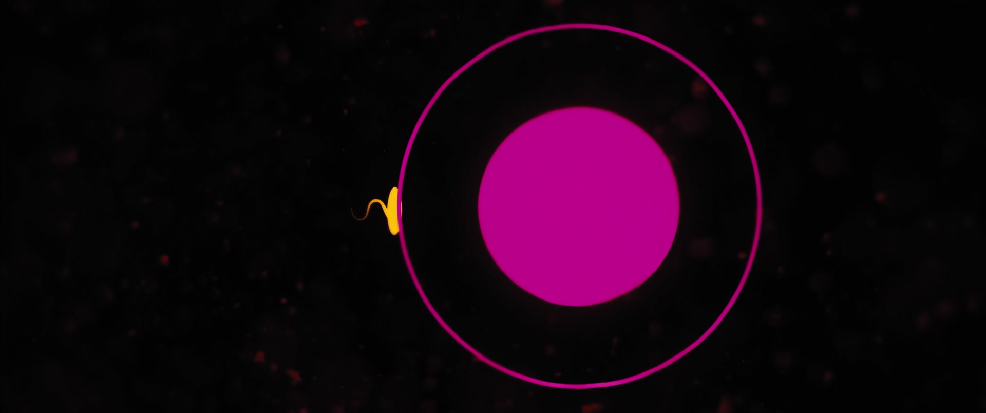 BOP_0021.jpg