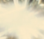 BOP_0574.jpg
