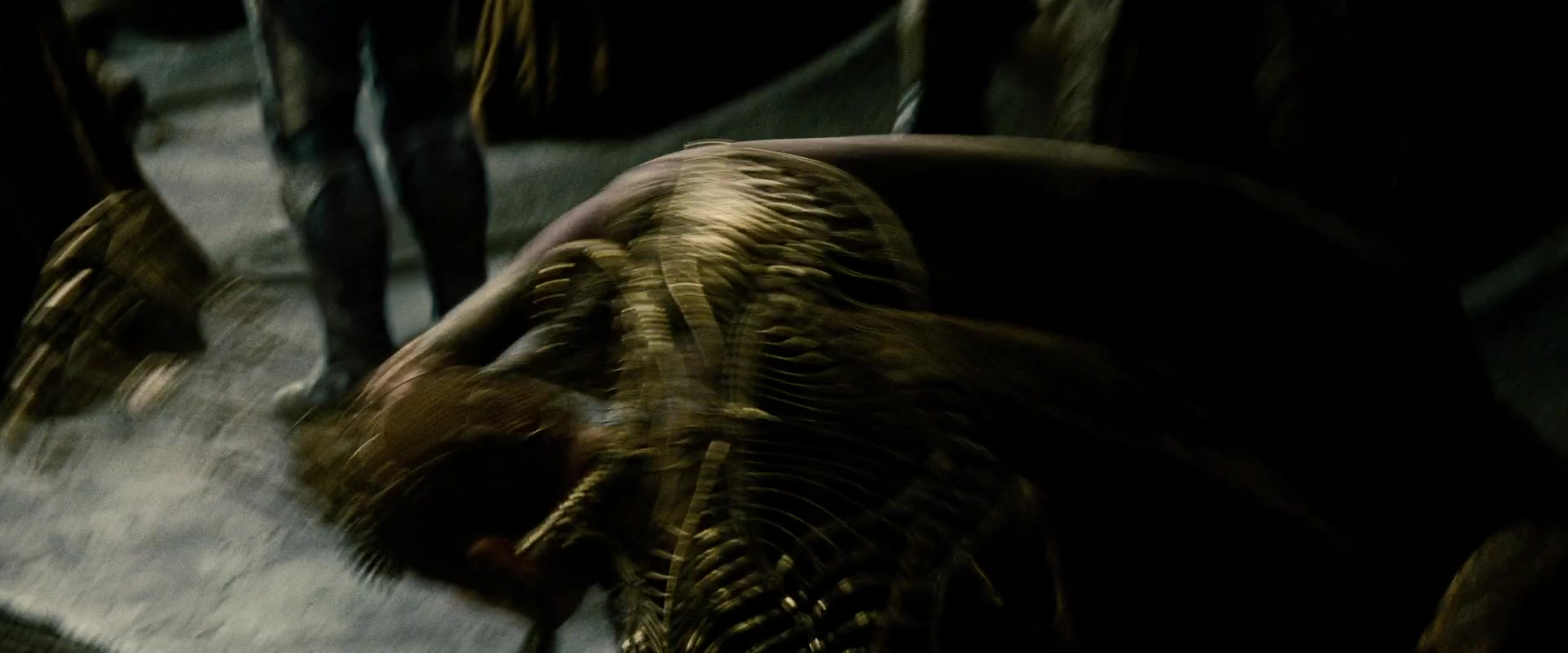 MOS_0053.jpg