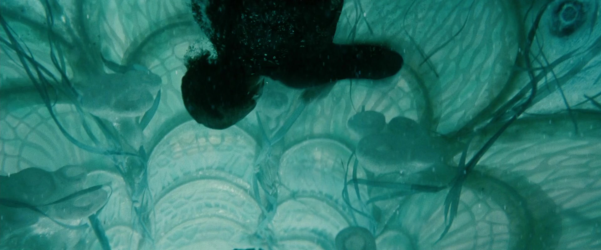 MOS_0102.jpg