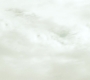 MOS_1283.jpg
