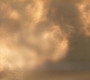 MOS_1340.jpg