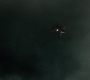 MOS_1566.jpg