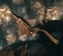 MOS_1587.jpg
