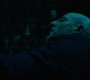 Shazam_0788.jpg