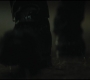 Filename=0255.jpg
Filesize=50KiB
Dimensions=1920x816
Date added=May 12, 2022 0255.jpg