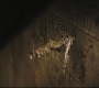 Filename=2676.jpg
Filesize=104KiB
Dimensions=1920x807
Date added=May 12, 2022 2676.jpg