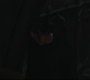 Filename=3242.jpg
Filesize=67KiB
Dimensions=1920x807
Date added=May 12, 2022 3242.jpg