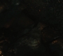 WW-03646.jpg