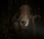 Filename=AMATW-00134.jpg
Filesize=72KiB
Dimensions=1920x804
Date added=Oct 11, 2021 AMATW-00134.jpg