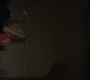 Filename=AMATW-00193.jpg
Filesize=59KiB
Dimensions=1920x804
Date added=Oct 11, 2021 AMATW-00193.jpg