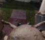 Filename=AMATW-00198.jpg
Filesize=110KiB
Dimensions=1920x804
Date added=Oct 11, 2021 AMATW-00198.jpg