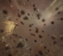 AMATW-00333.jpg