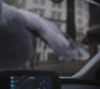 AMATW-00421.jpg